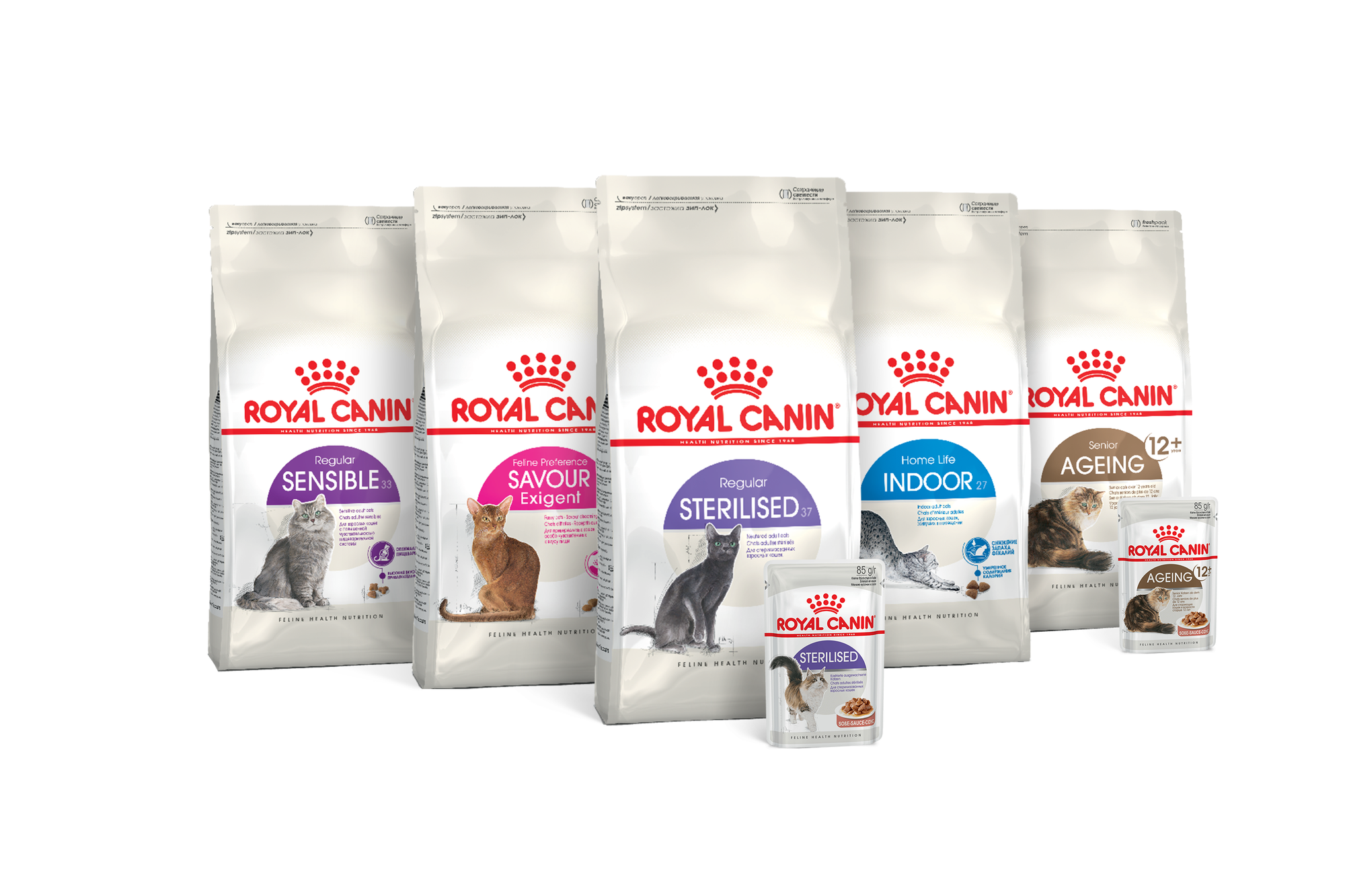 Сухий корм для котів Royal Canin (Роял Канін) – купити котячий корм в ...